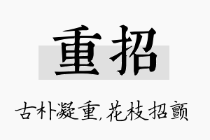 重招名字的寓意及含义