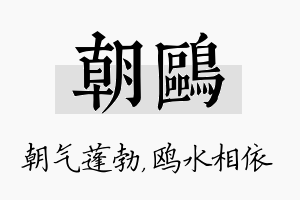 朝鸥名字的寓意及含义