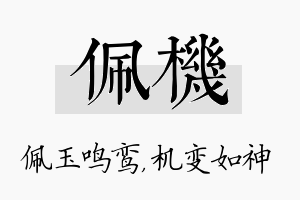 佩机名字的寓意及含义