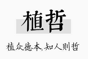 植哲名字的寓意及含义