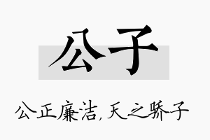 公子名字的寓意及含义