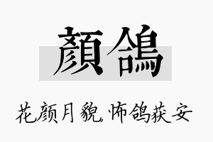 颜鸽名字的寓意及含义