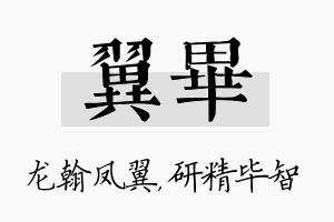 翼毕名字的寓意及含义