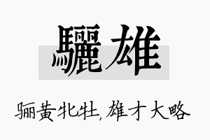 骊雄名字的寓意及含义