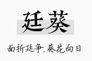 廷葵名字的寓意及含义