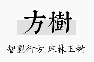 方树名字的寓意及含义