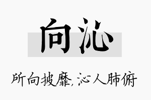 向沁名字的寓意及含义