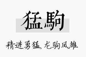 猛驹名字的寓意及含义