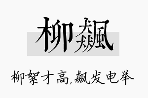 柳飙名字的寓意及含义