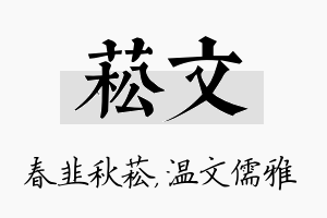 菘文名字的寓意及含义