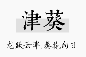 津葵名字的寓意及含义