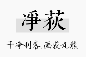 净荻名字的寓意及含义