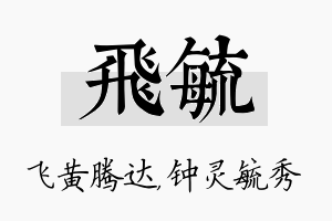 飞毓名字的寓意及含义