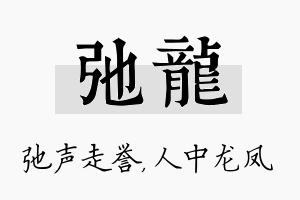 弛龙名字的寓意及含义