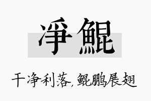 净鲲名字的寓意及含义