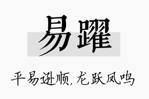 易跃名字的寓意及含义