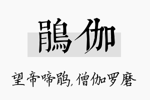 鹃伽名字的寓意及含义