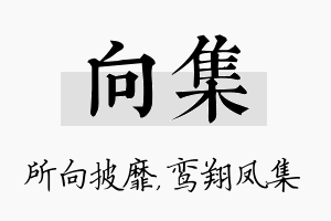 向集名字的寓意及含义