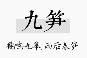 九笋名字的寓意及含义