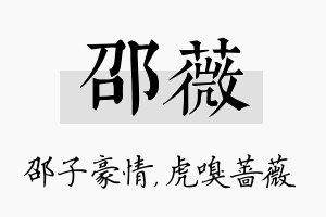 邵薇名字的寓意及含义