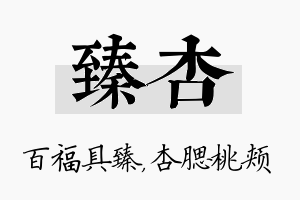 臻杏名字的寓意及含义