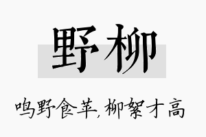 野柳名字的寓意及含义