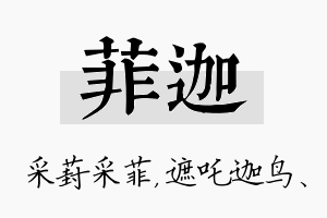 菲迦名字的寓意及含义