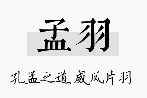 孟羽名字的寓意及含义