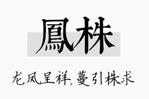 凤株名字的寓意及含义