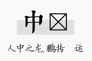 中鹍名字的寓意及含义