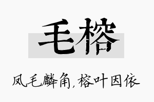 毛榕名字的寓意及含义