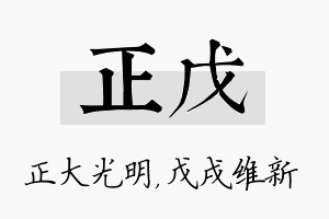 正戊名字的寓意及含义