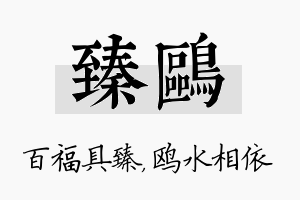 臻鸥名字的寓意及含义