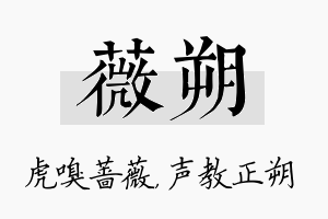 薇朔名字的寓意及含义