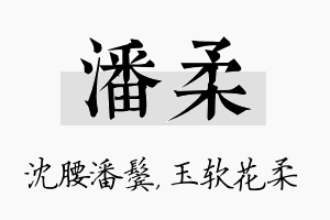 潘柔名字的寓意及含义