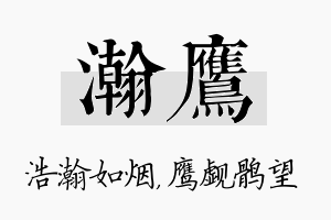 瀚鹰名字的寓意及含义