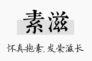 素滋名字的寓意及含义