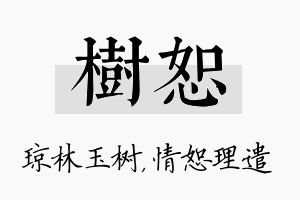 树恕名字的寓意及含义