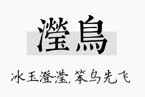 滢鸟名字的寓意及含义