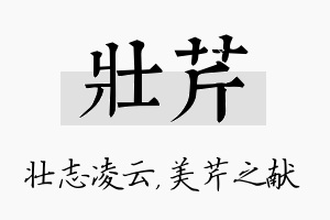 壮芹名字的寓意及含义