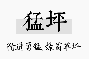 猛坪名字的寓意及含义