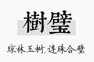 树璧名字的寓意及含义