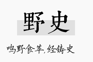 野史名字的寓意及含义