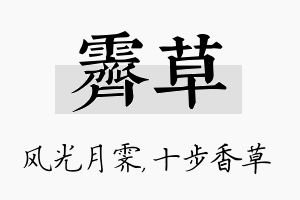 霁草名字的寓意及含义