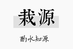 栽源名字的寓意及含义