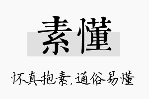 素懂名字的寓意及含义