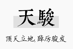 天骏名字的寓意及含义