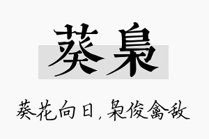 葵枭名字的寓意及含义