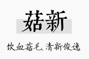 菇新名字的寓意及含义