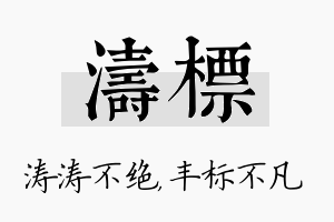 涛标名字的寓意及含义